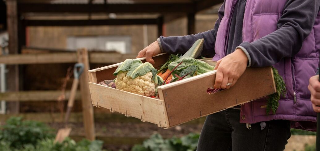 Trade in agricultural products between Ukraine and the EU has reached a maximum