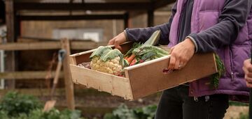 Handel produktami rolnymi między Ukrainą a UE osiągnął maksymalny poziom w 2024 roku.