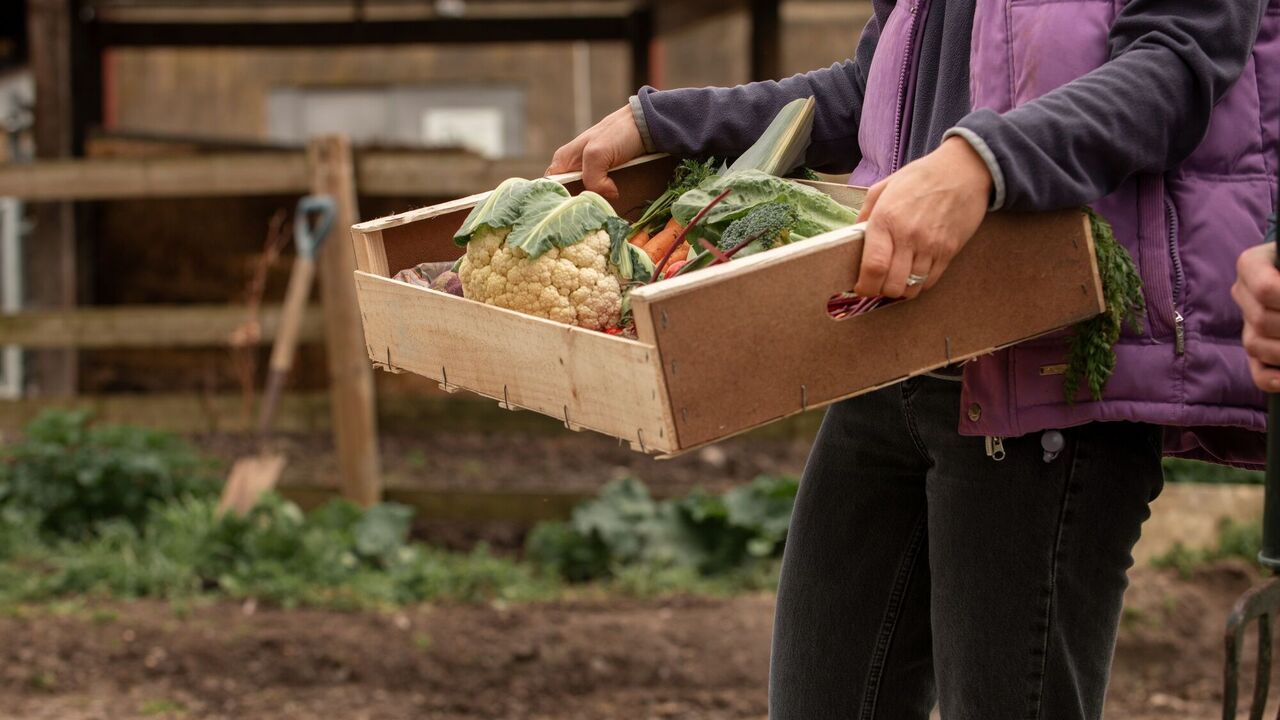 Trade in agricultural products between Ukraine and the EU has reached a maximum