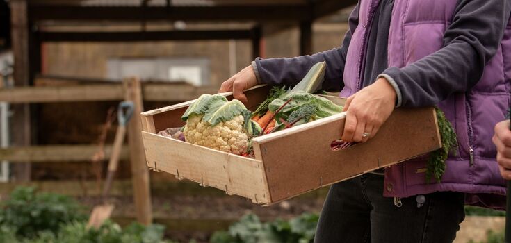 Trade in agricultural products between Ukraine and the EU has reached a maximum
