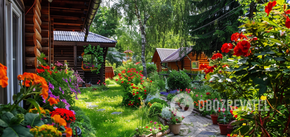 Jak przygotować ogród na wiosnę: co trzeba zrobić