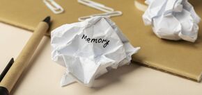 Scientists have discovered brain cells that help to memorize objects