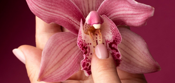 Selena Gomez and Kylie Jenner showed the most fashionable manicure of the season. Photo