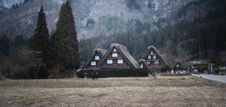 A SPA resort with houses and views of Hoverla is being built in the Carpathians: what it will look like