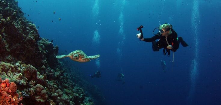 Where to go scuba diving: the top most interesting places in the world