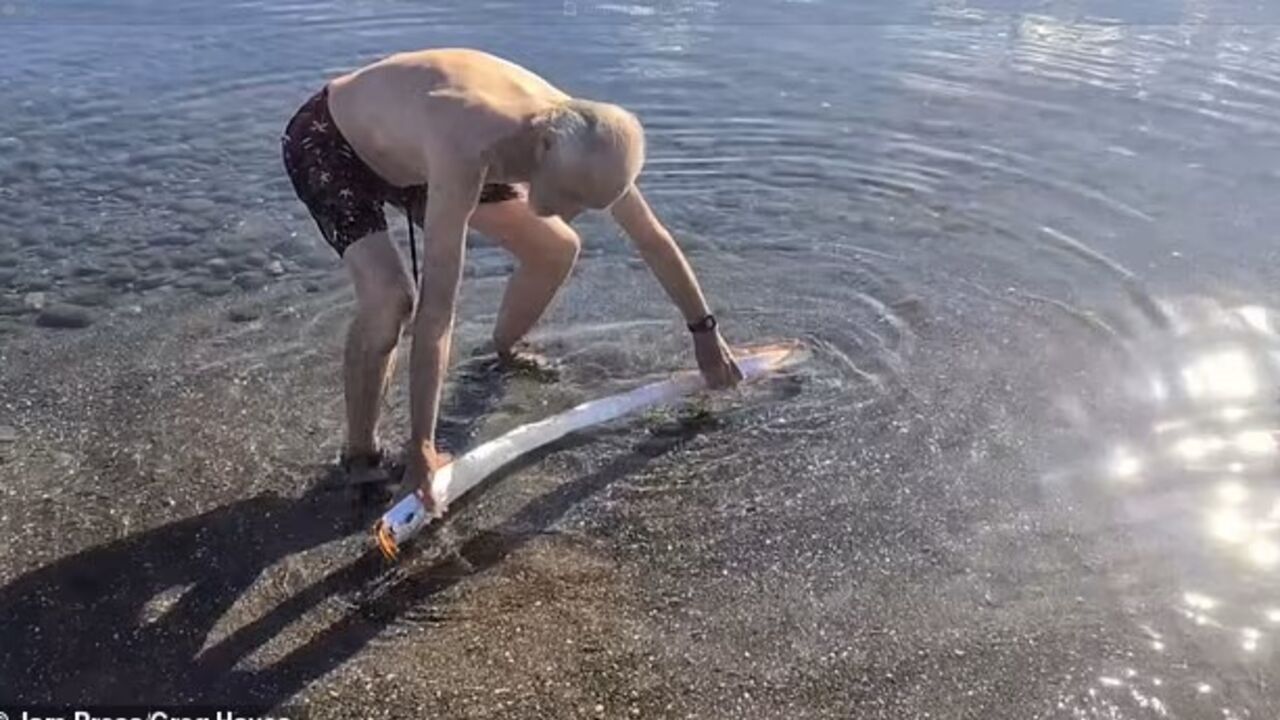 "Something bad will happen": doomsday fish washed up on a beach in Mexico