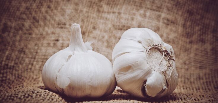 The best place to store garlic so it doesn't spoil: there's a simple secret