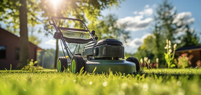 Jak pogrubić trawnik: prosta sztuczka dla letnich mieszkańców