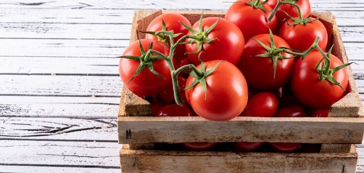 Where to store tomatoes so that they don't turn mushy: an unexpected location