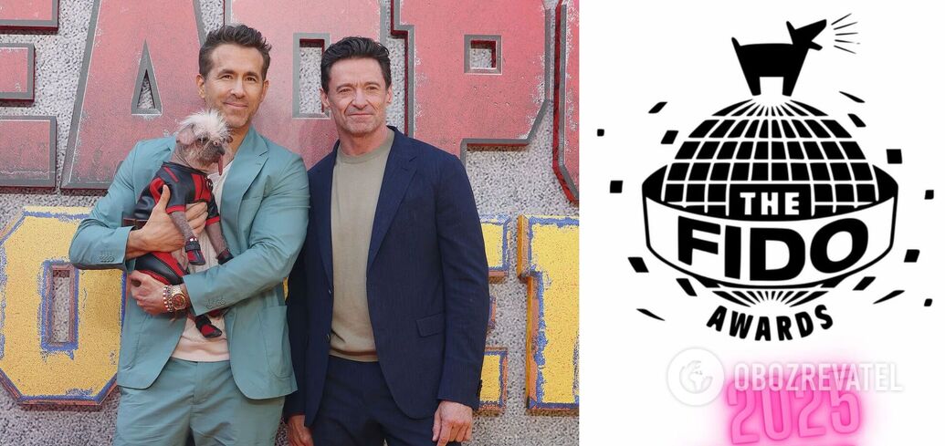 The "dog Oscars" took place in the UK: what the best tailed actors look like. Photo