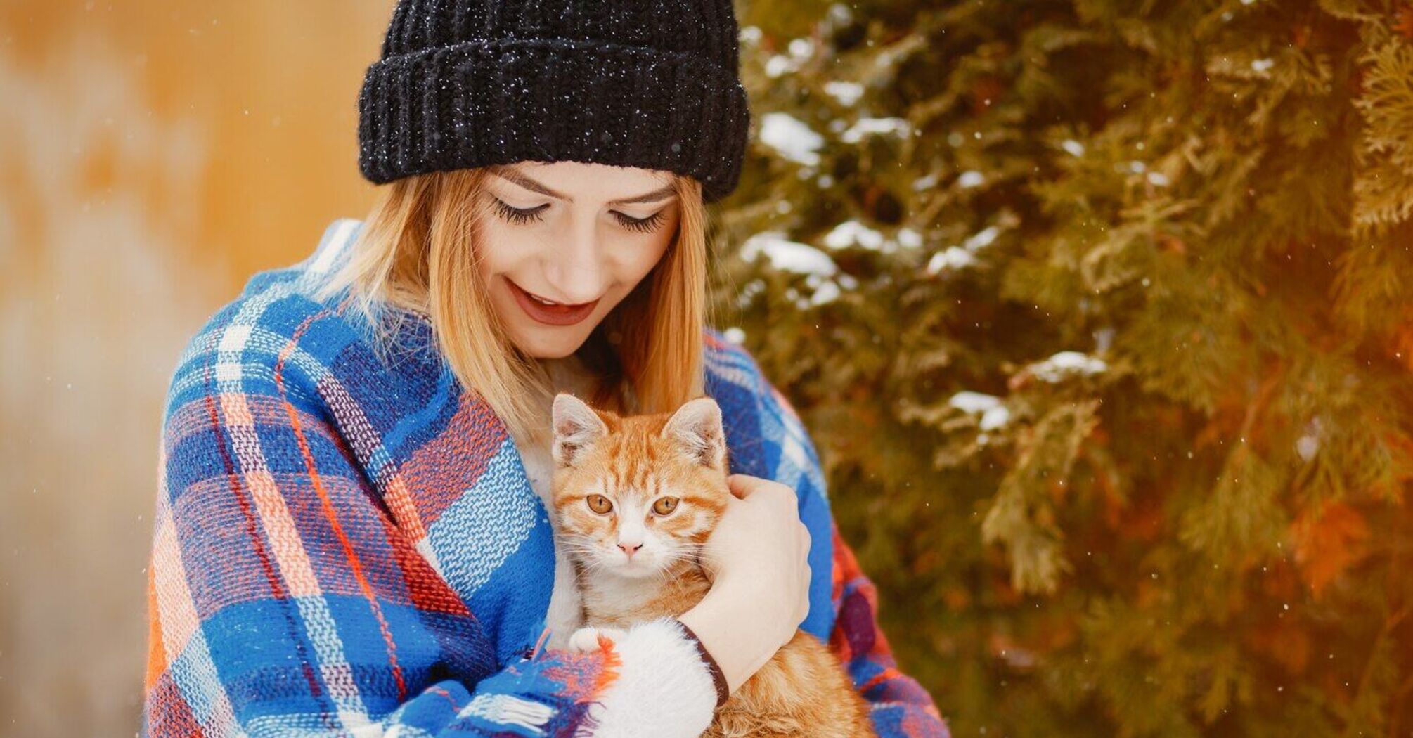 How to keep your cat warm in winter: top 5 expert tips