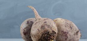 How to boil beets in 10 minutes: an elementary method that will suit everyone