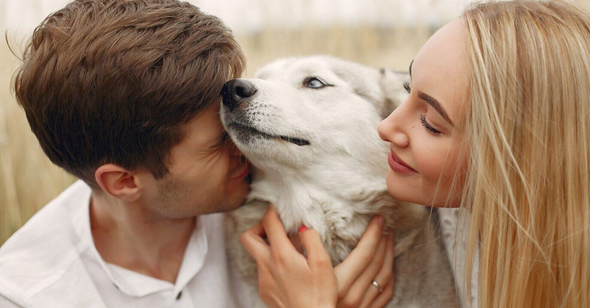 What gestures show your dog's love for you: you've definitely noticed them