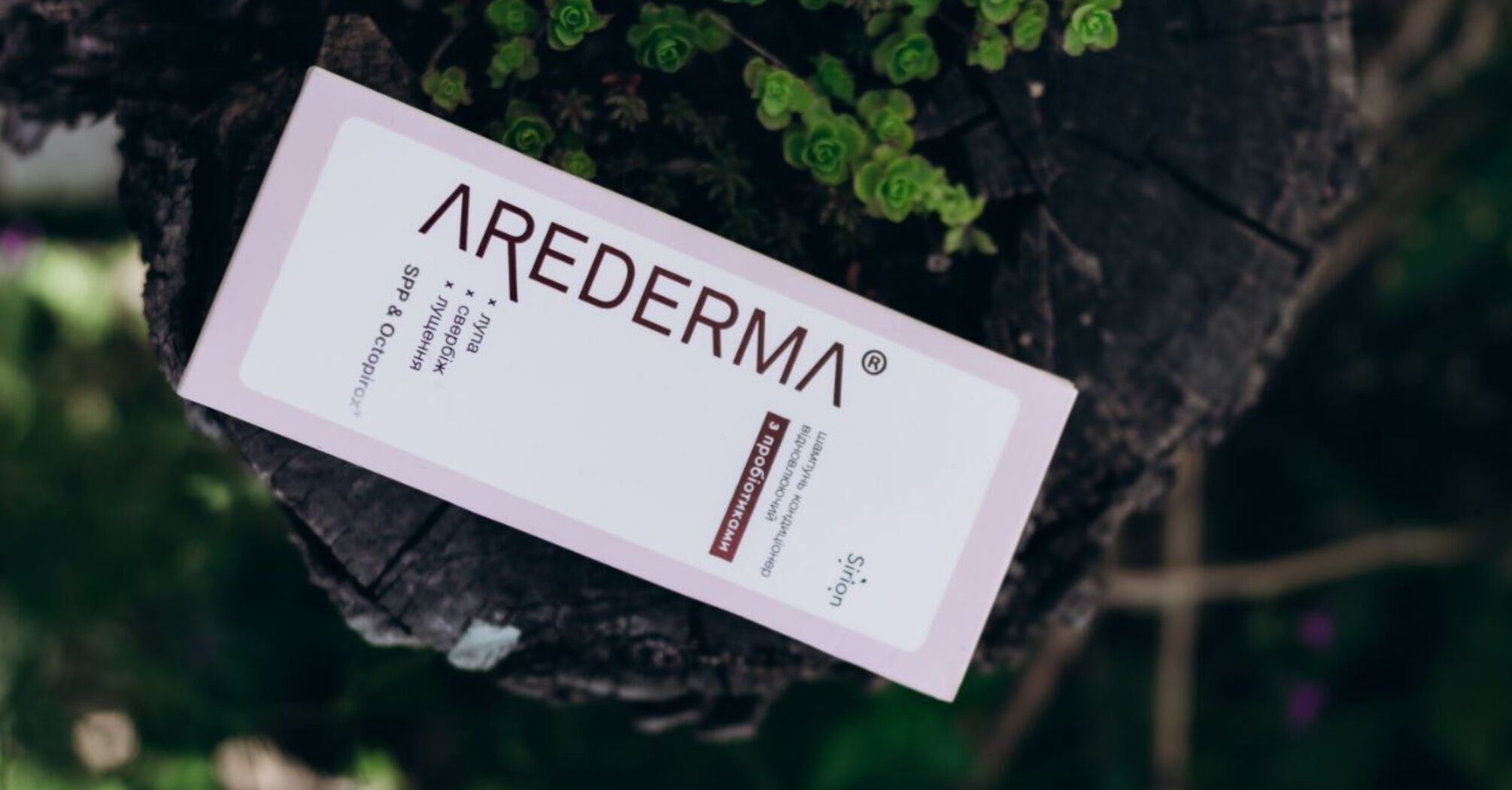 Ukrainian Biotechnologists Create a Next-Gen Probiotic Anti-Dandruff Shampoo