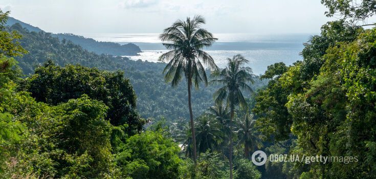 It's +29 here in February: one of the best islands in the world will be an ideal place to relax at the end of winter