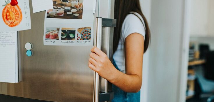 Why you should never put warm food in the refrigerator: the results of an experiment