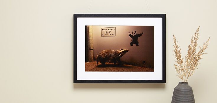 The best wildlife photos of 2024: a badger looking at a badger graffiti won everyone over