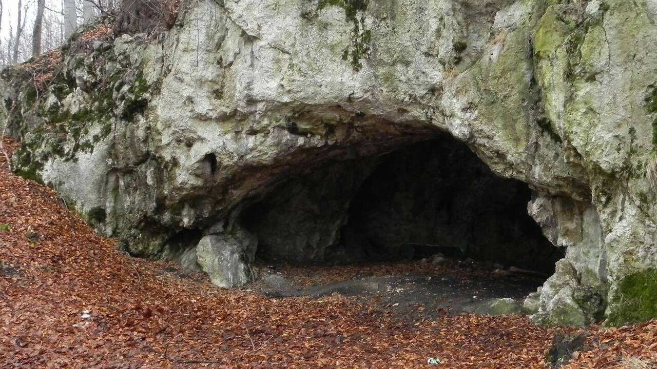 18,000-year-old cannibalism traces discovered in a Polish cave. Photos