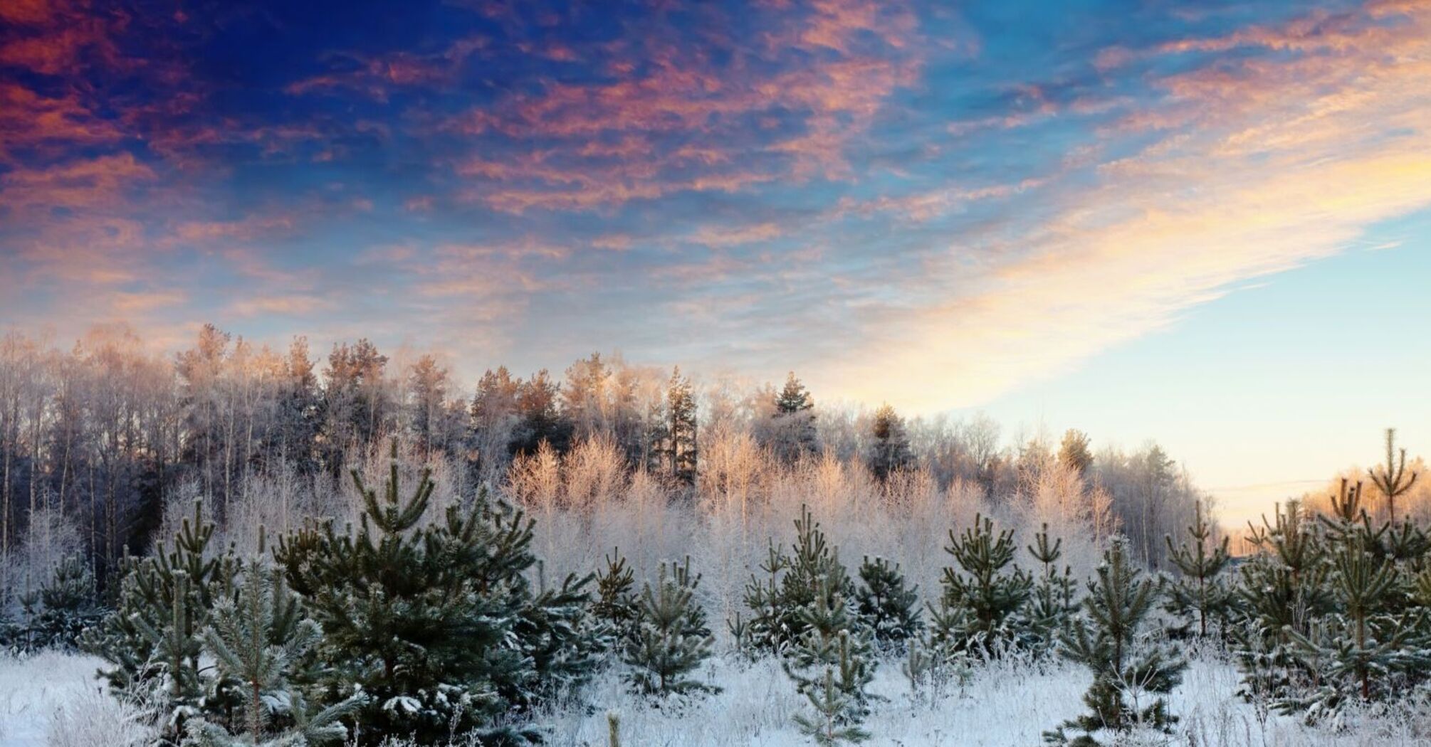 What holiday is celebrated on February 9 in Ukraine: everything about this day