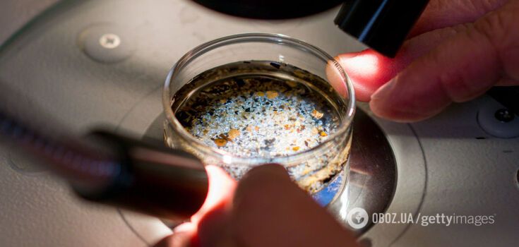 A spoonful of nanoplastics found in the human brain: how it will affect our health