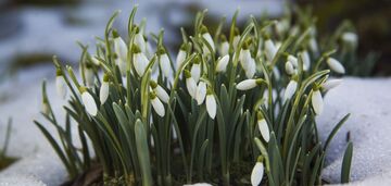 What holiday is celebrated on March 2 in Ukraine: everything about this day