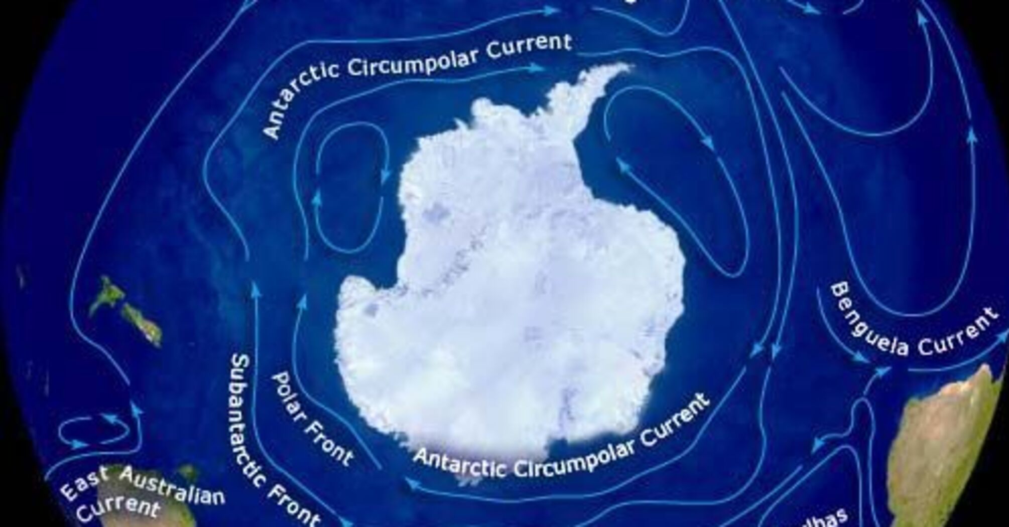 Najpotężniejszy prąd oceaniczny na Ziemi zwalnia z powodu zmian klimatu: konsekwencje mogą być katastrofalne