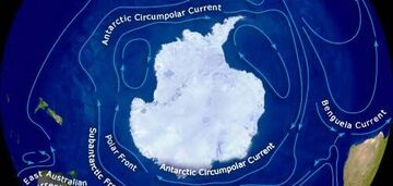 Najpotężniejszy prąd oceaniczny na Ziemi zwalnia z powodu zmian klimatu: konsekwencje mogą być katastrofalne