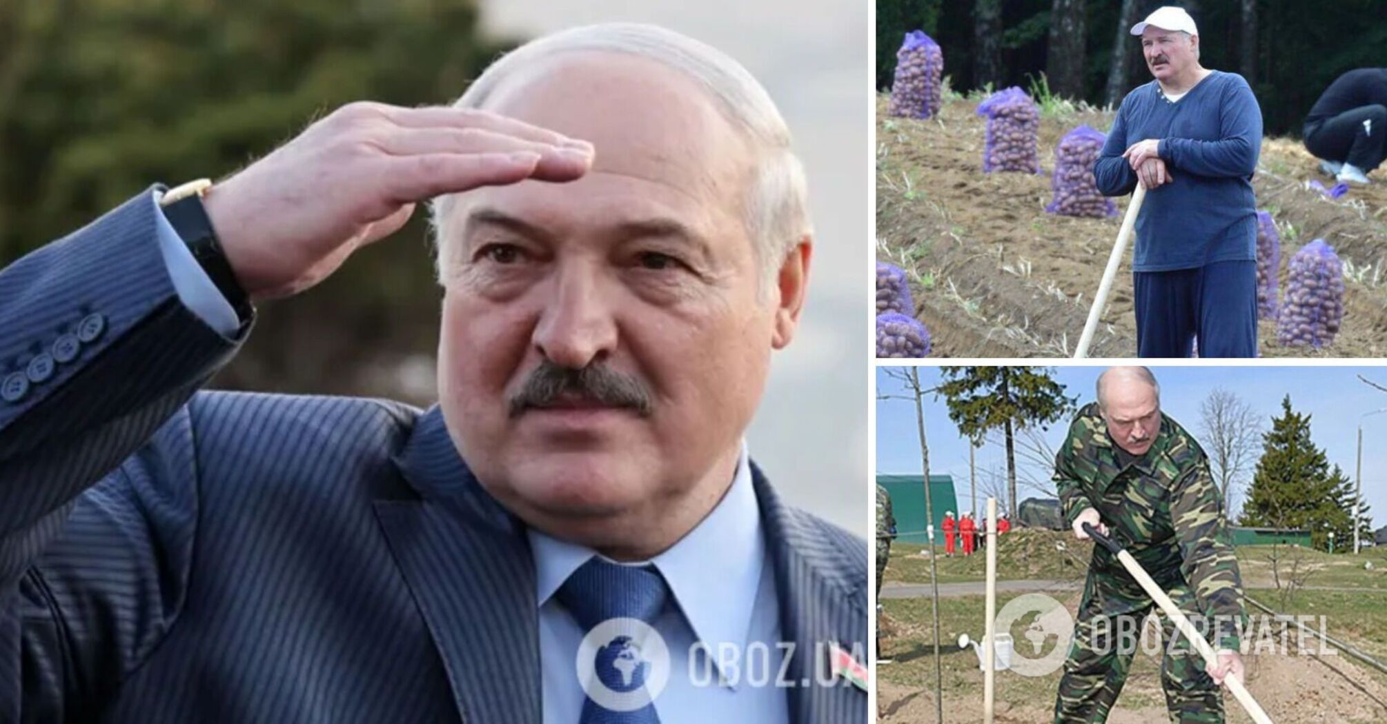 "Found a cellar with sweet potatoes": the network exploded with memes over Lukashenko's plans to find rare earth metals in Belarus