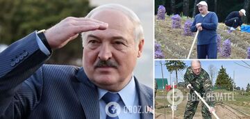 "Found a cellar with sweet potatoes": the network exploded with memes over Lukashenko's plans to find rare earth metals in Belarus
