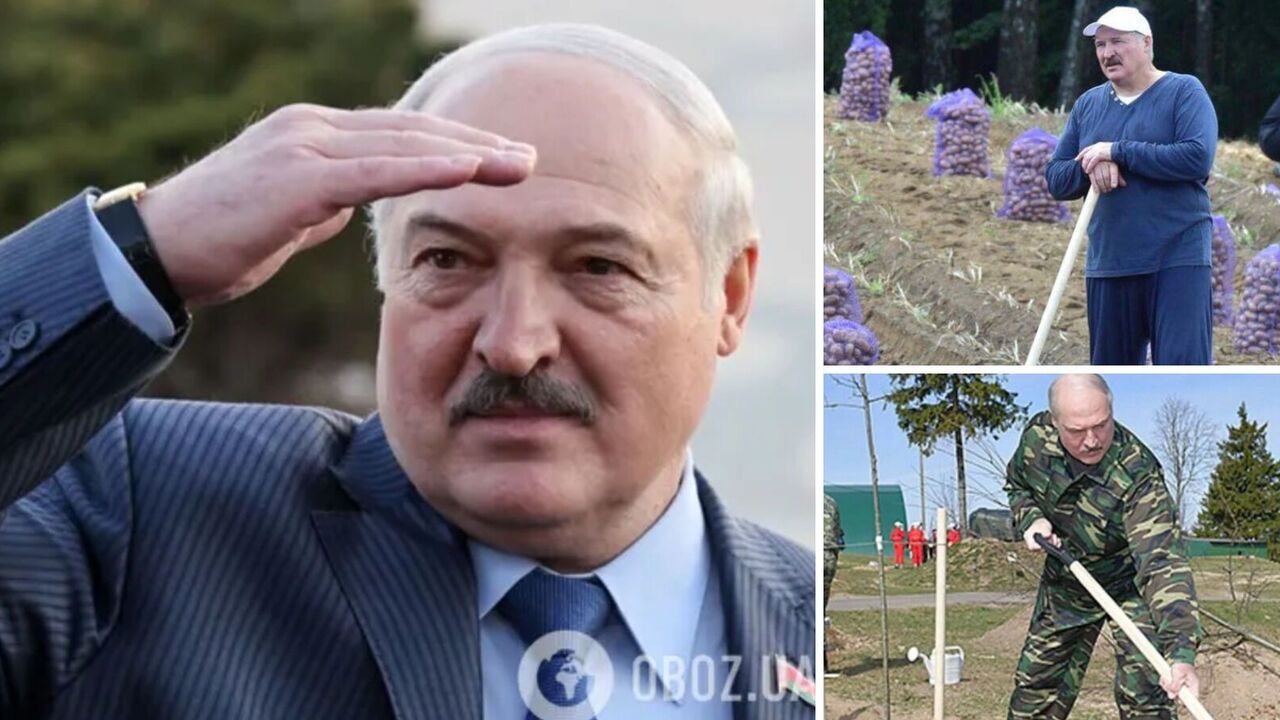 "Znalazłem piwnicę ze słodkimi ziemniakami": sieć eksplodowała memami na temat planów Łukaszenki dotyczących znalezienia metali ziem rzadkich na Białorusi