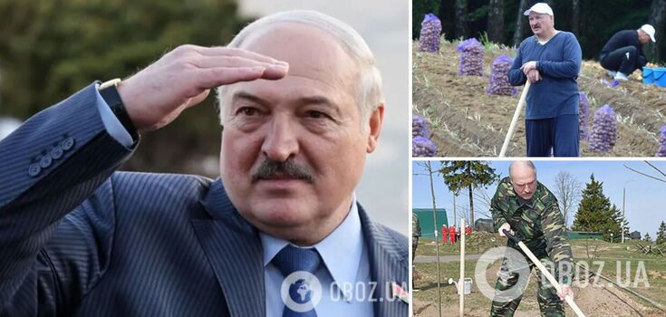 "Found a cellar with sweet potatoes": the network exploded with memes over Lukashenko's plans to find rare earth metals in Belarus